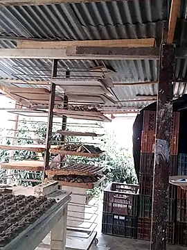 hoteder (M young) - Spank ass + show cock🤤😈