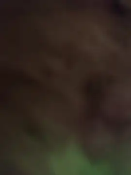 king_night1 - King_night1's free webcam - UK Sex Cams