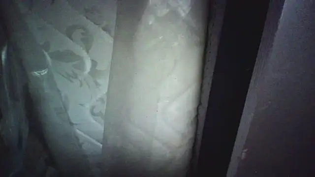 Preview of kungfupanda001