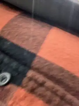 Preview of hailzeffn