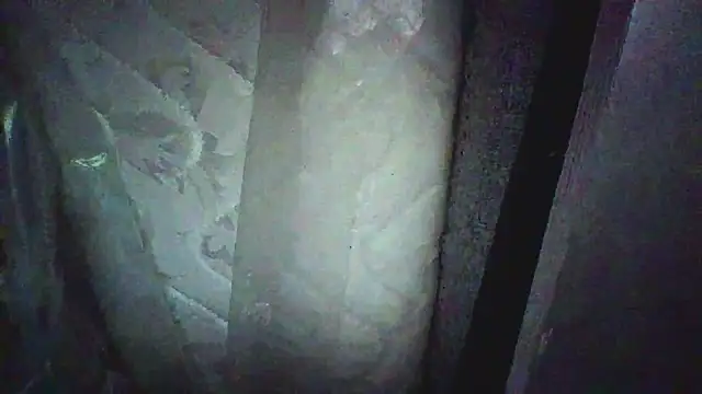 Preview of kungfupanda001