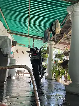 Preview of daiki_jack