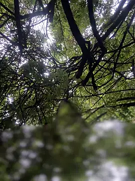 yoursexyjose - Yoursexyjose's free webcam - UK Sex Cams