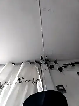 danielita2025 - Danielita2025's free webcam - UK Sex Cams