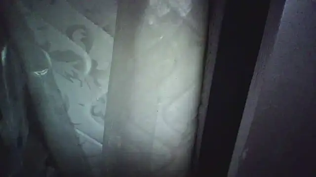 Preview of kungfupanda001