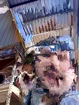 countrybannanaman's live cam