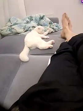 Preview of 510915asi