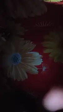 imbadboy4u (M young) - Jerk hard dick for yours tips me please