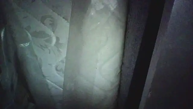 Preview of kungfupanda001