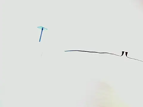 megannightt - MeganNightt's free webcam - UK Sex Cams