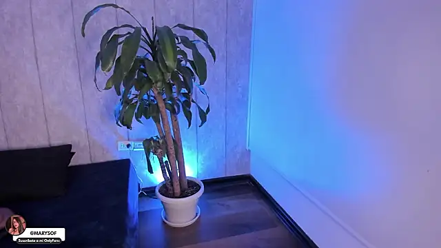 Preview of marysofff