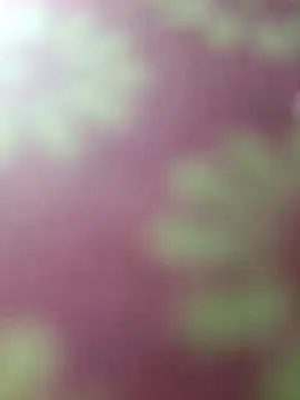 Nandani-758 live sex cam