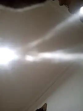 Preview of xxvhssxx21