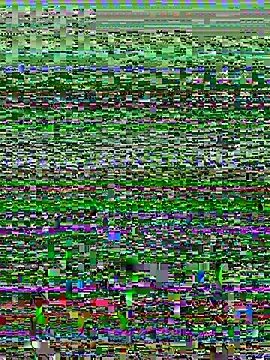 Arab in Canada 🇨🇦 عربية بكندا 