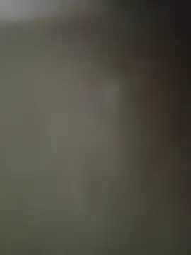 hasapequinha live sex cam