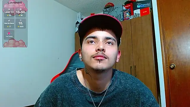 Hgp3riodictabl3 webcam