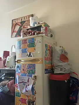 Preview of lapetitechienne1