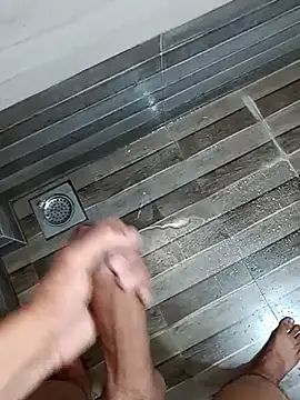 Preview of desi_lund10