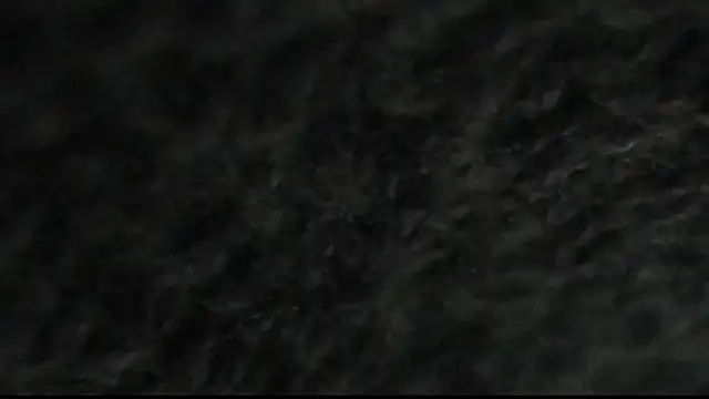 kurvykandie (Ask my age) - Sinful Sexy Sunday: Ass Everything (her)