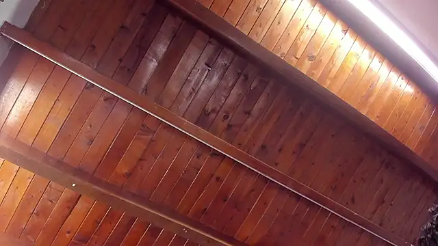 kaleb_violeta_1's room