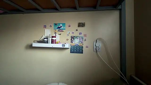 Preview of aquilineorites