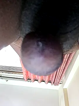 maddymissile (M mature) - 20