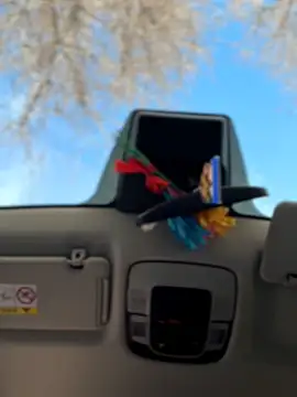 Webcam Model (Wonder_Kari) is live