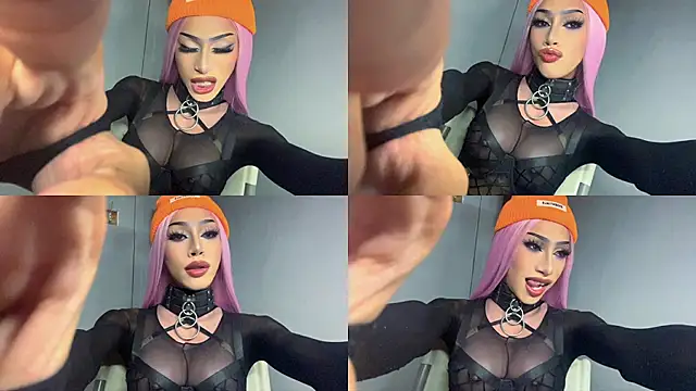 Preview of anitacruise