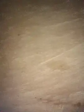 sharmasamba (M young) - Gand fuck didol