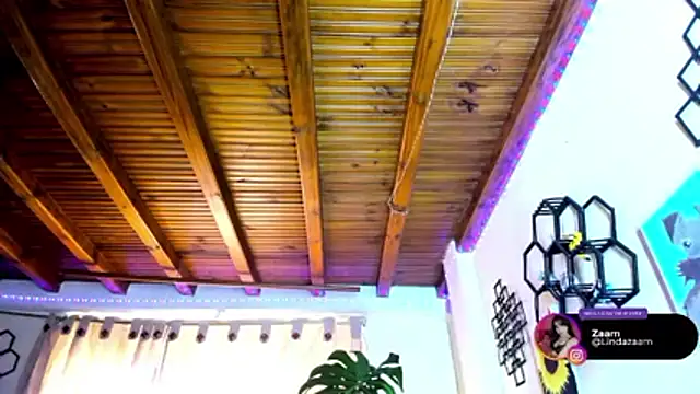 Preview of linda_zaam83866