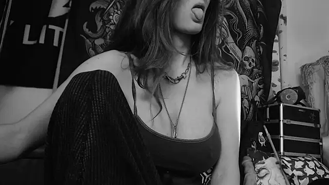 Preview of silentmary