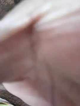 adicma123 live sex cam