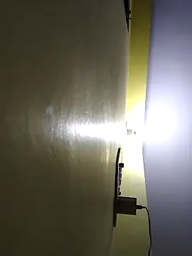 minakshi-gi - Minakshi-Gi's free webcam - UK Sex Cams