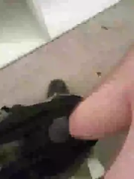 Lajkii webcam stripchat model stream image