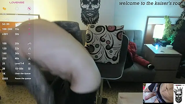 Preview of kaiser679_