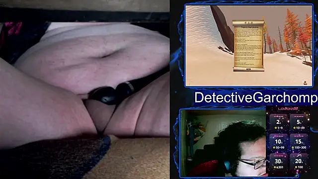 Preview of detchompy