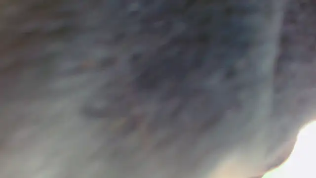 daviidbuckx_ - DaviidBuckx_'s free webcam - UK Sex Cams