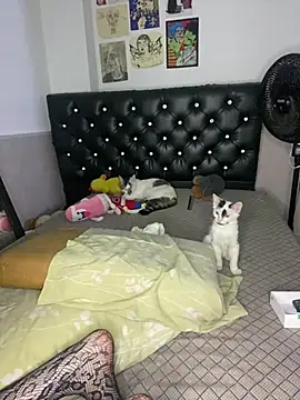 Preview of venusdemilo_55