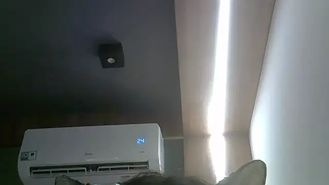 Preview of skinnykitten