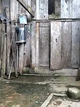 mit0-77 live cam profile