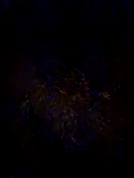 Preview of beyond1978