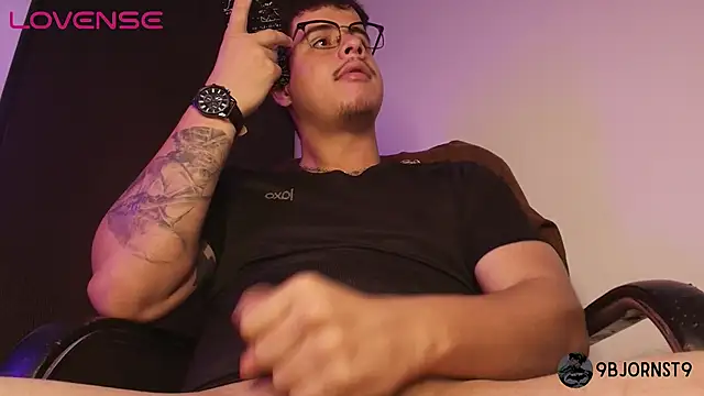 Preview of bjornsteel