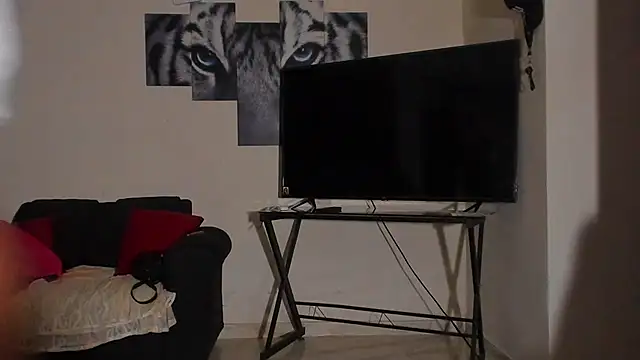 Preview of ray_long222