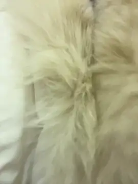 美女littleqiu在线直播