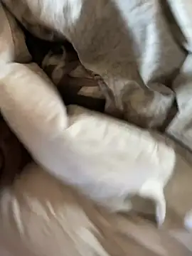 Preview of popeye227