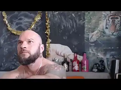 Preview of viking_30