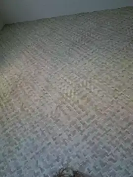 Yakanude live sex cam