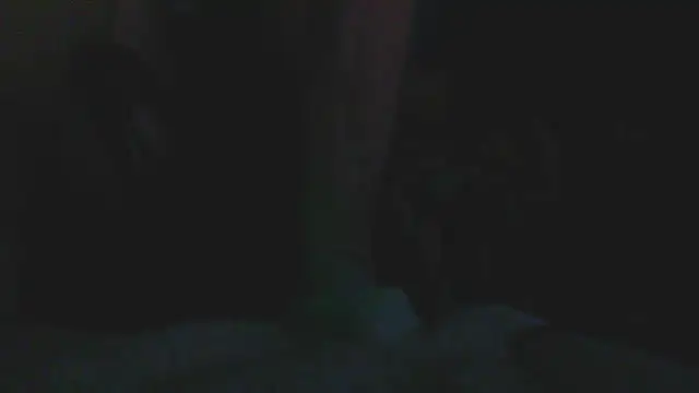 bobbybullit live sex cam