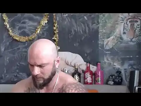 Preview of viking_30