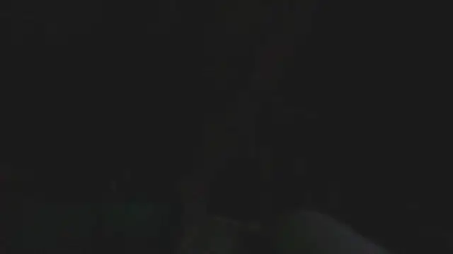 Preview of bobbybullit